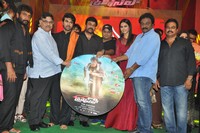 Bruce Lee Movie Audio Release Photos
